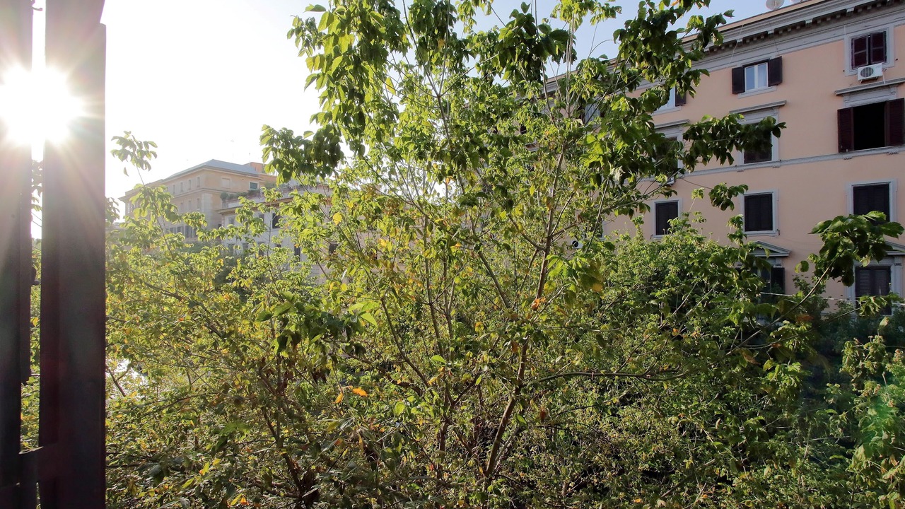 Photo of Outdoor in Vatican