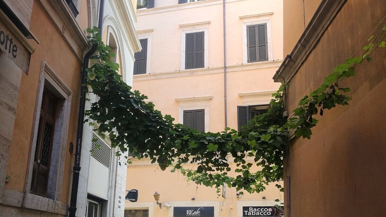 Photo of Outdoor in Rione VIII Sant'Eustachio