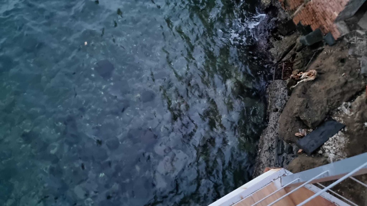 Photo of Outdoor in Posillipo