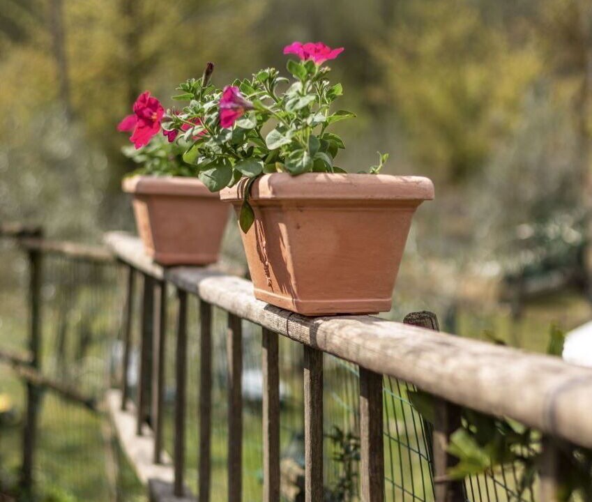 Photo of Outdoor in Castiglion Fiorentino