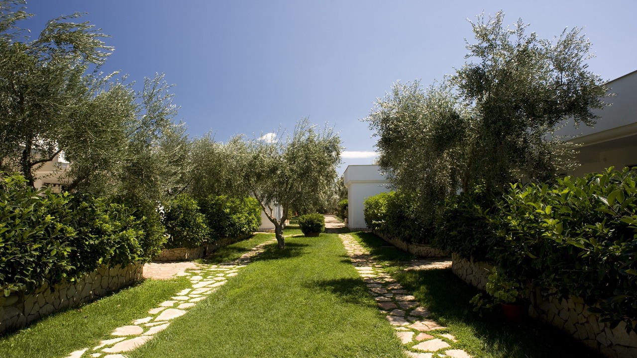 Photo of Outdoor in Mattinata