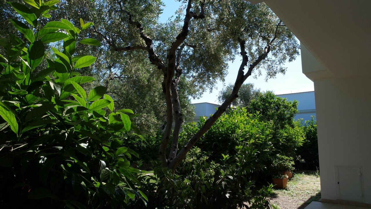 Photo of Outdoor in Mattinata
