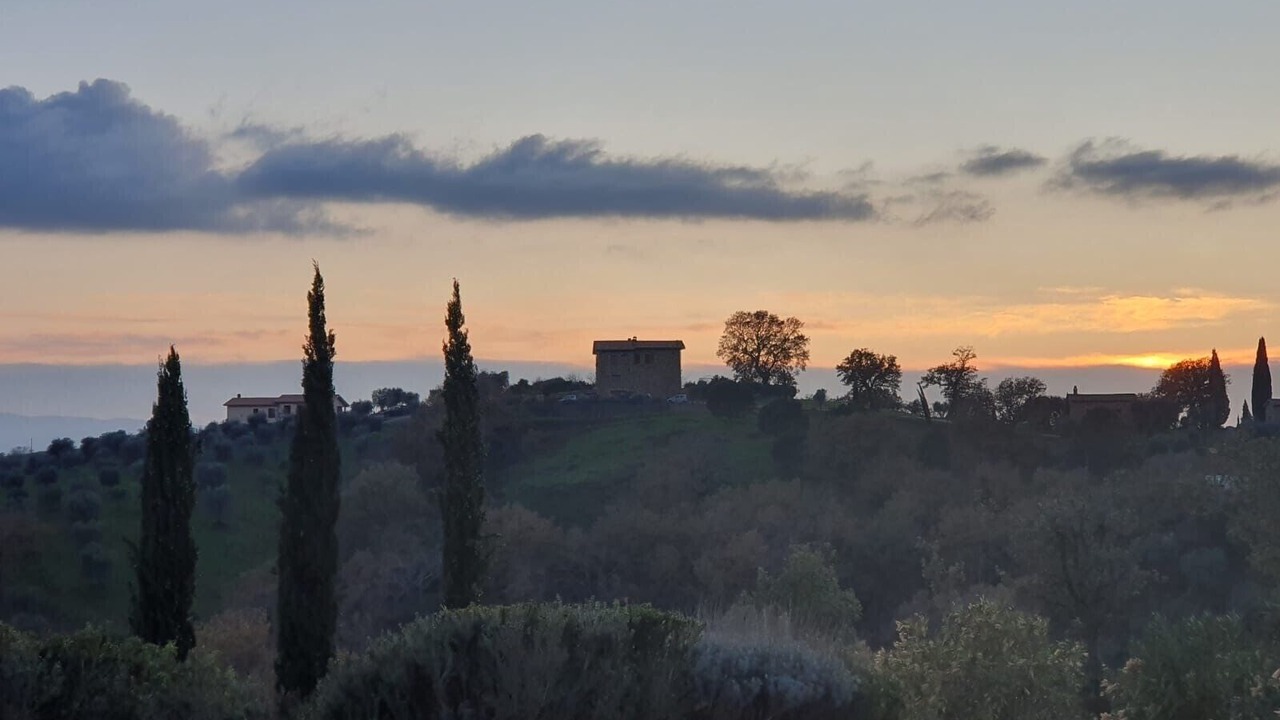 Photo of Others in Magliano in Toscana