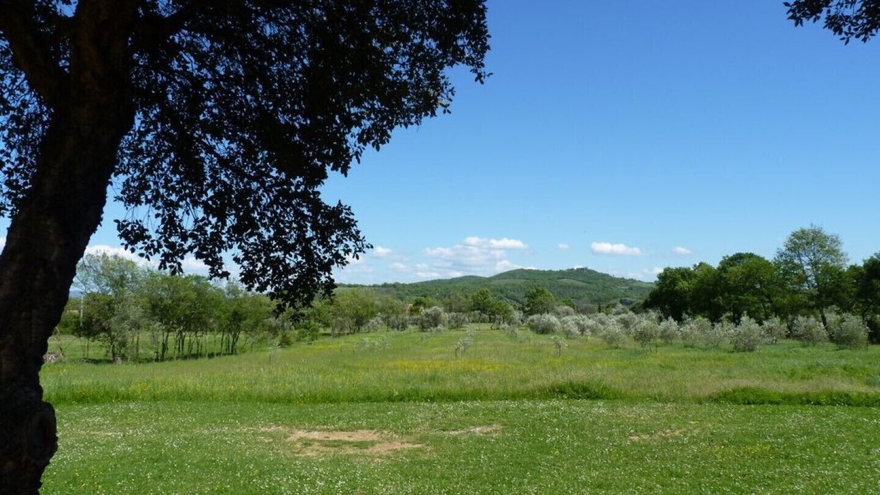 Photo of Others in Gavorrano