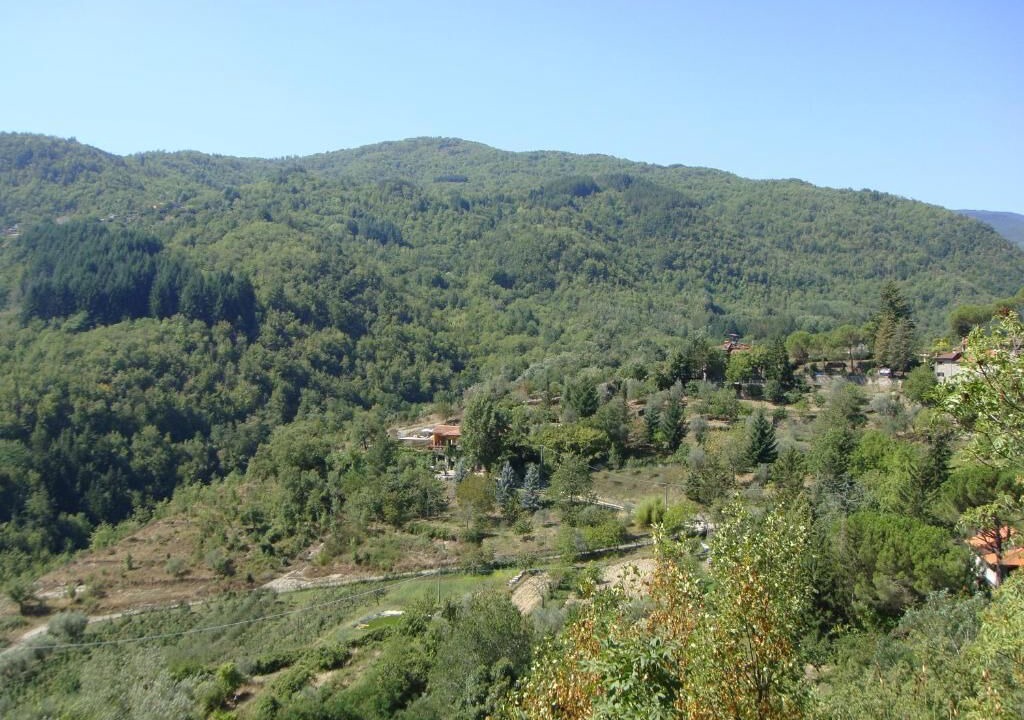 Photo of Outdoor in Castel San Niccolo