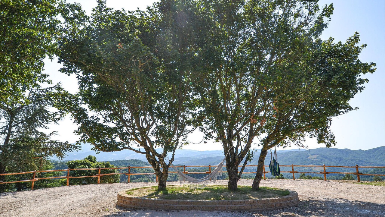 Photo of Others in Apecchio