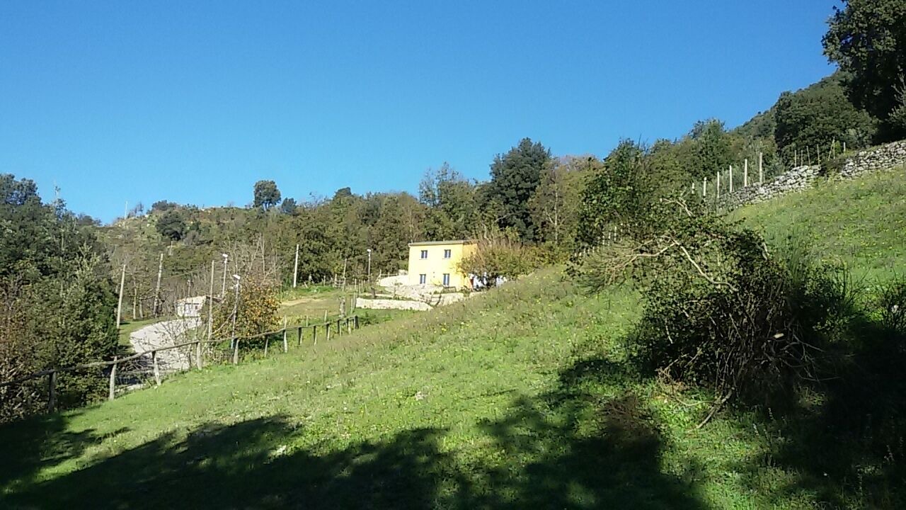 Photo of Outdoor in Tortorella