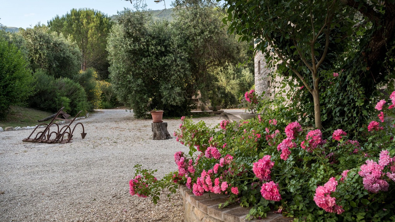 Photo of Outdoor in Casenuove