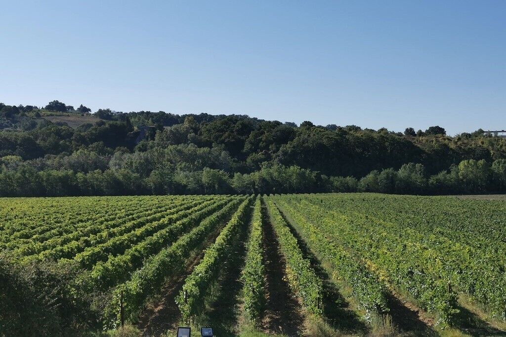 Photo of Outdoor in Corbara