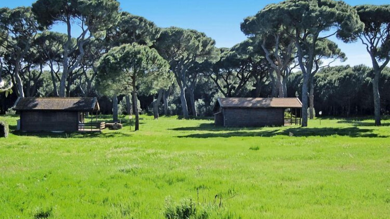 Photo of Outdoor in Marina di Grosseto