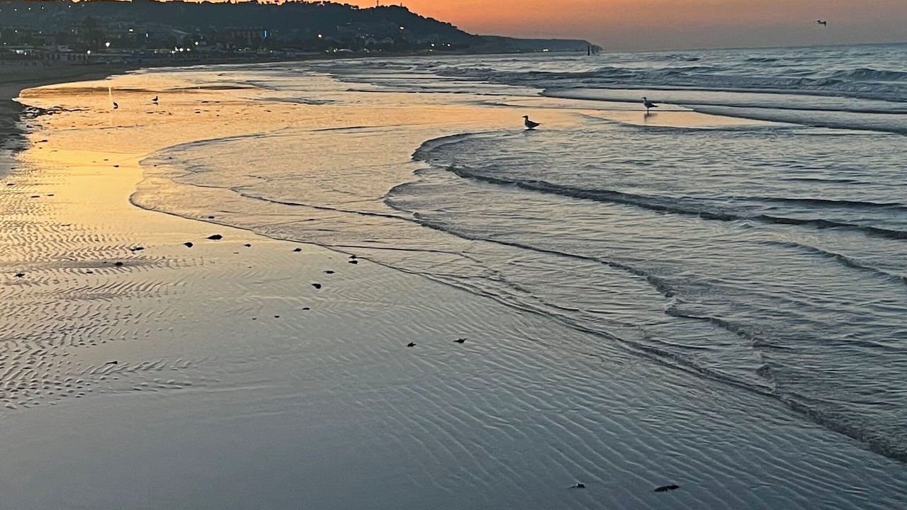 Photo of Others in San Benedetto del Tronto