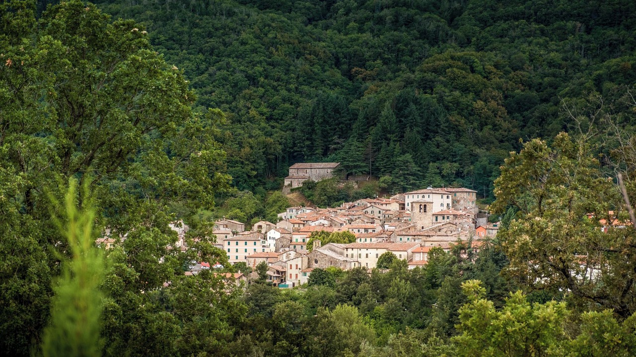 Photo of Others in Montieri