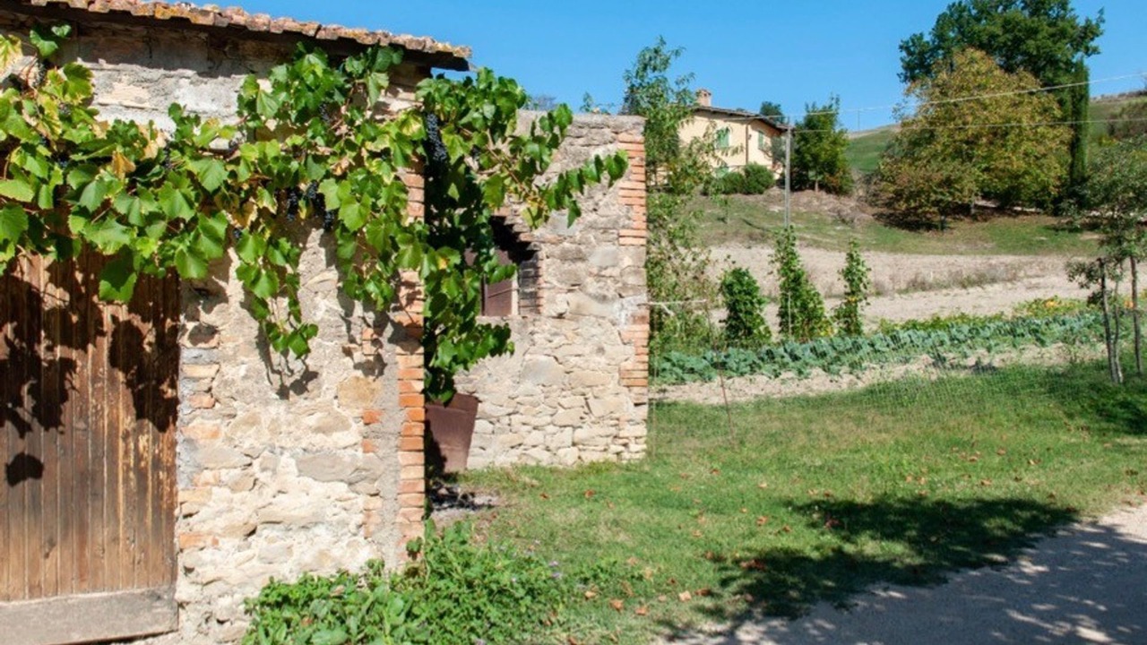 Photo of Others in Gualdo Cattaneo