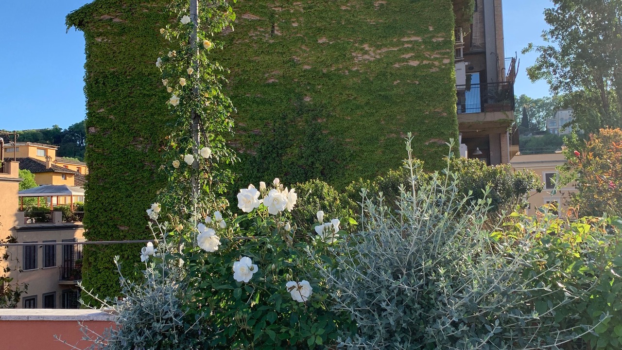 Photo of Outdoor in Trastevere