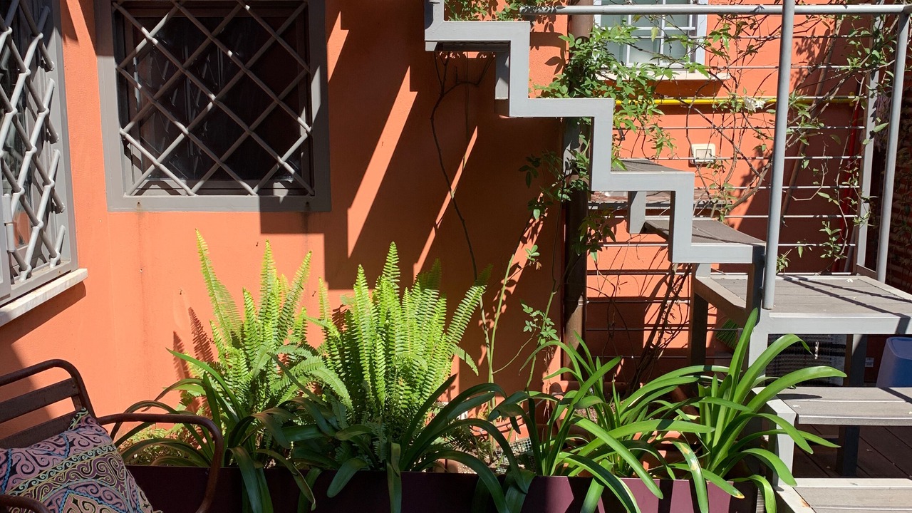 Photo of Outdoor in Trastevere