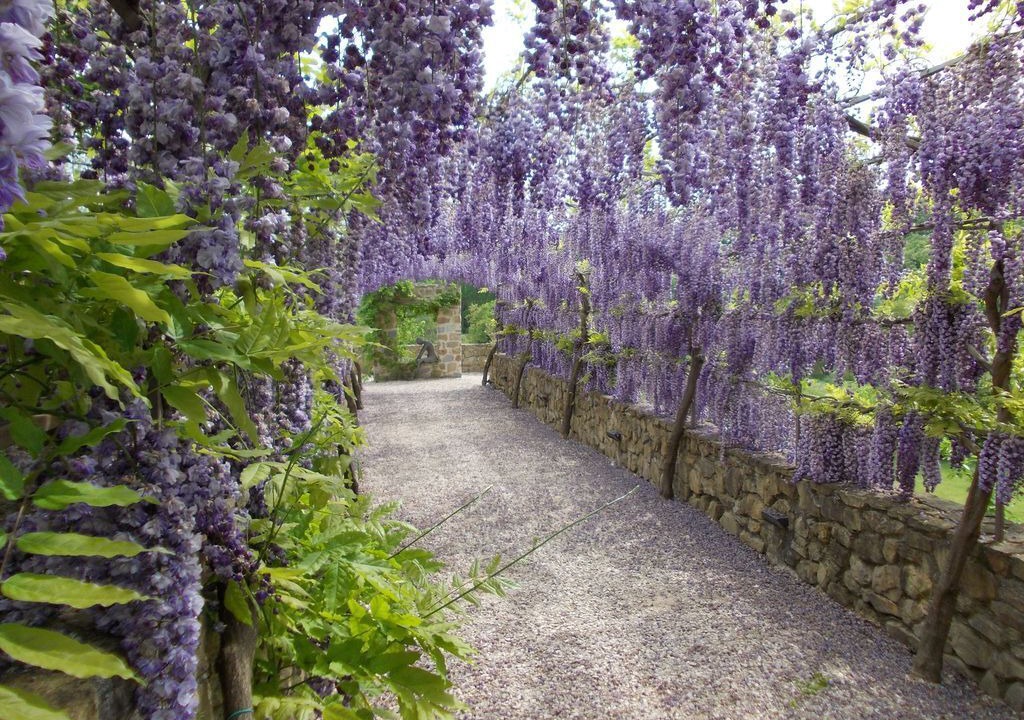 Photo of Outdoor in Marsciano