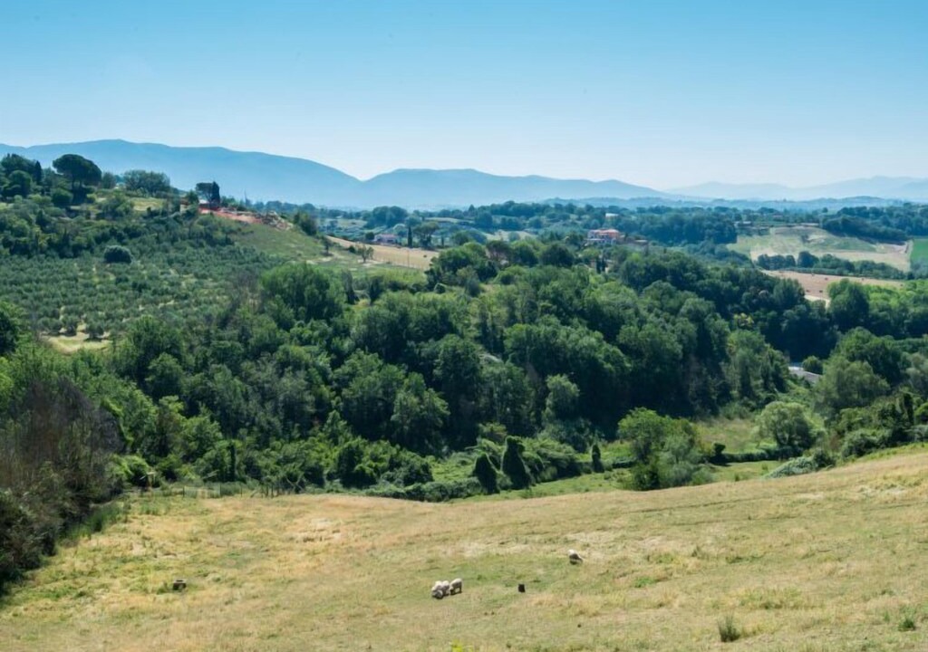 Photo of Others in Piane di Collevecchio