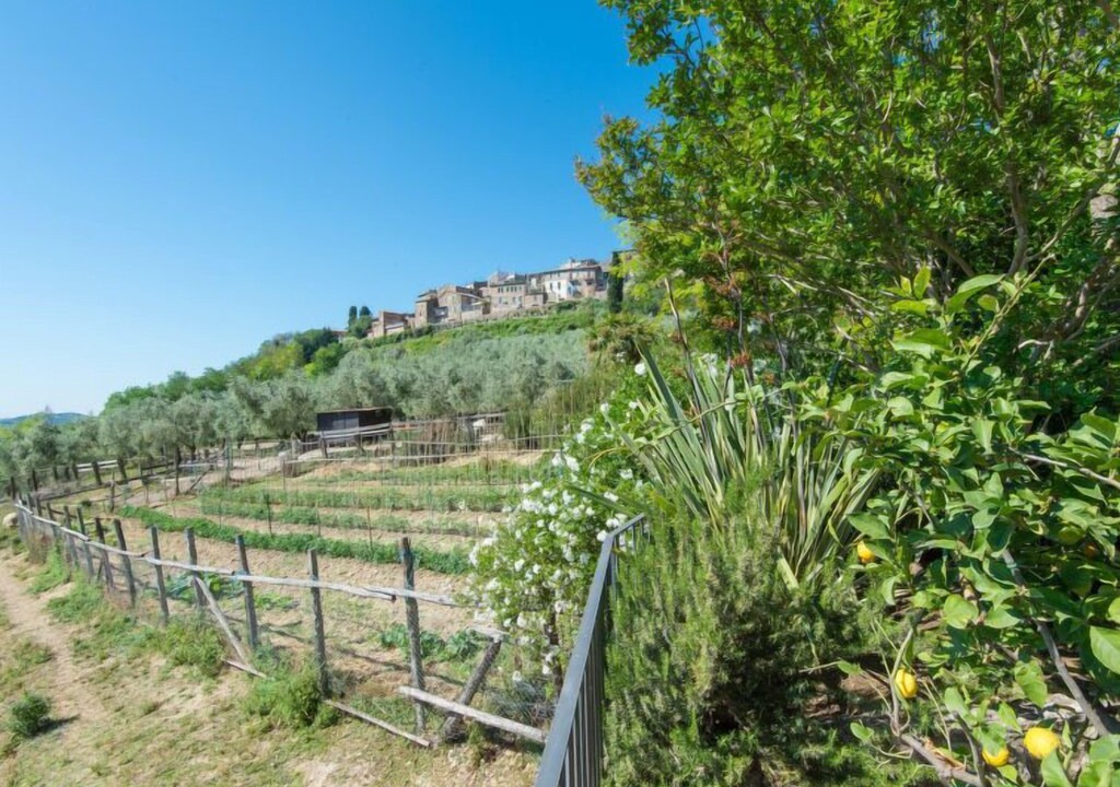 Photo of Others in Piane di Collevecchio
