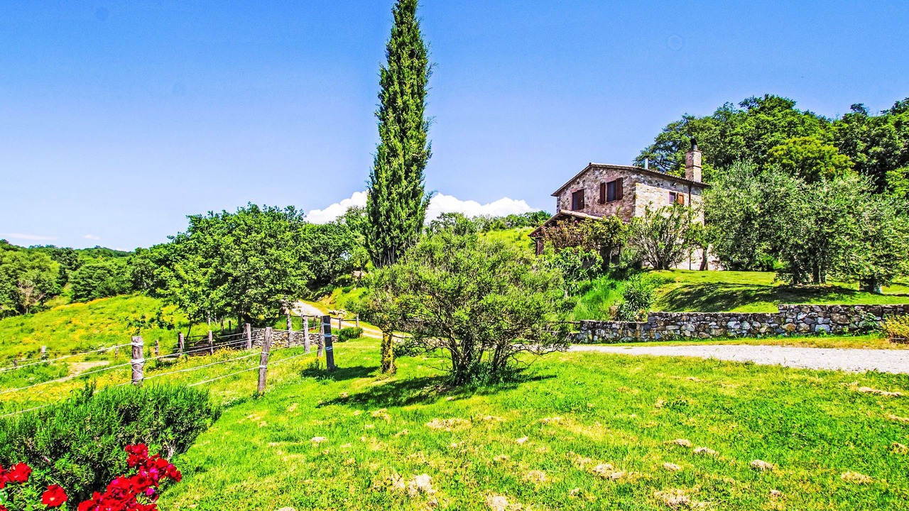 Photo of Others in Scansano