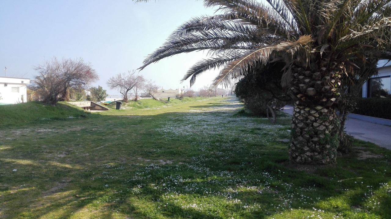 Photo of Outdoor in Lido di Fermo
