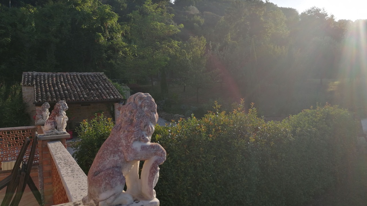 Photo of Outdoor in Cupramontana