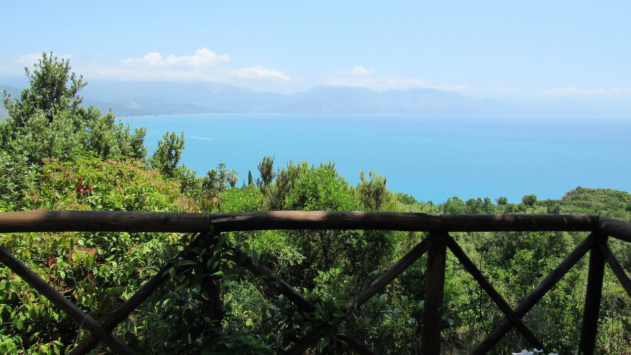 Photo of Others in Scario
