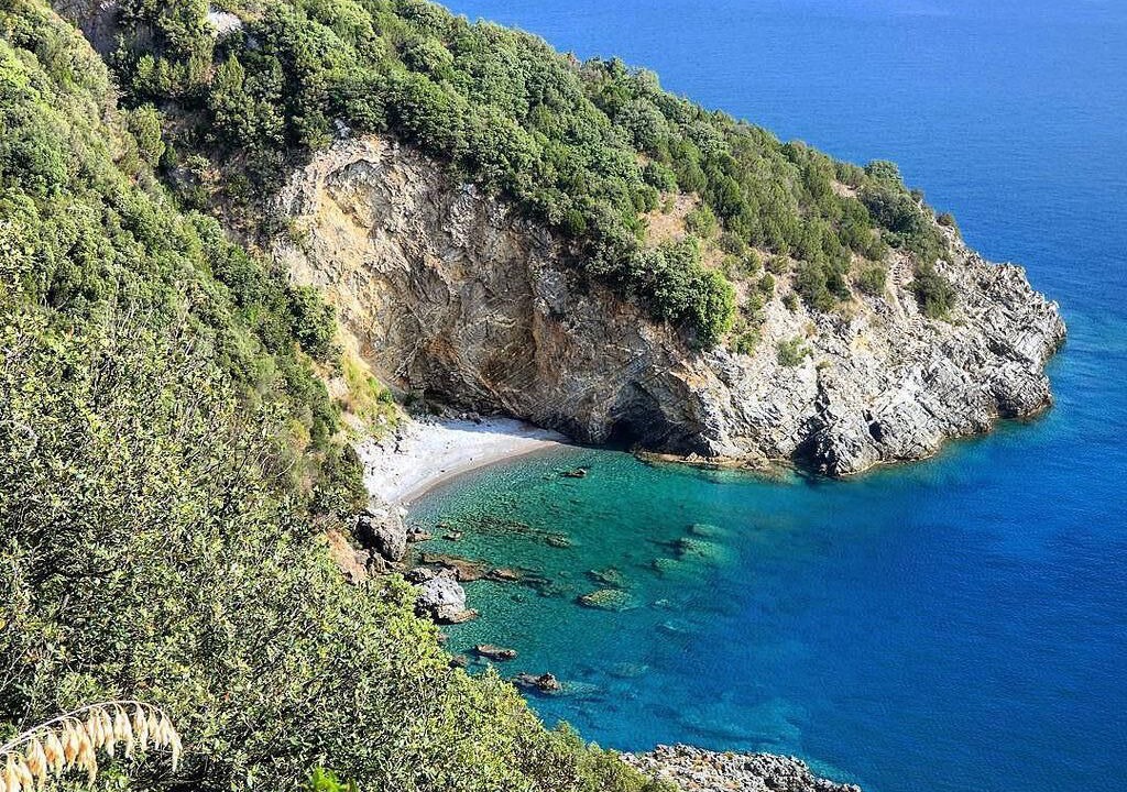 Photo of Others in Scario