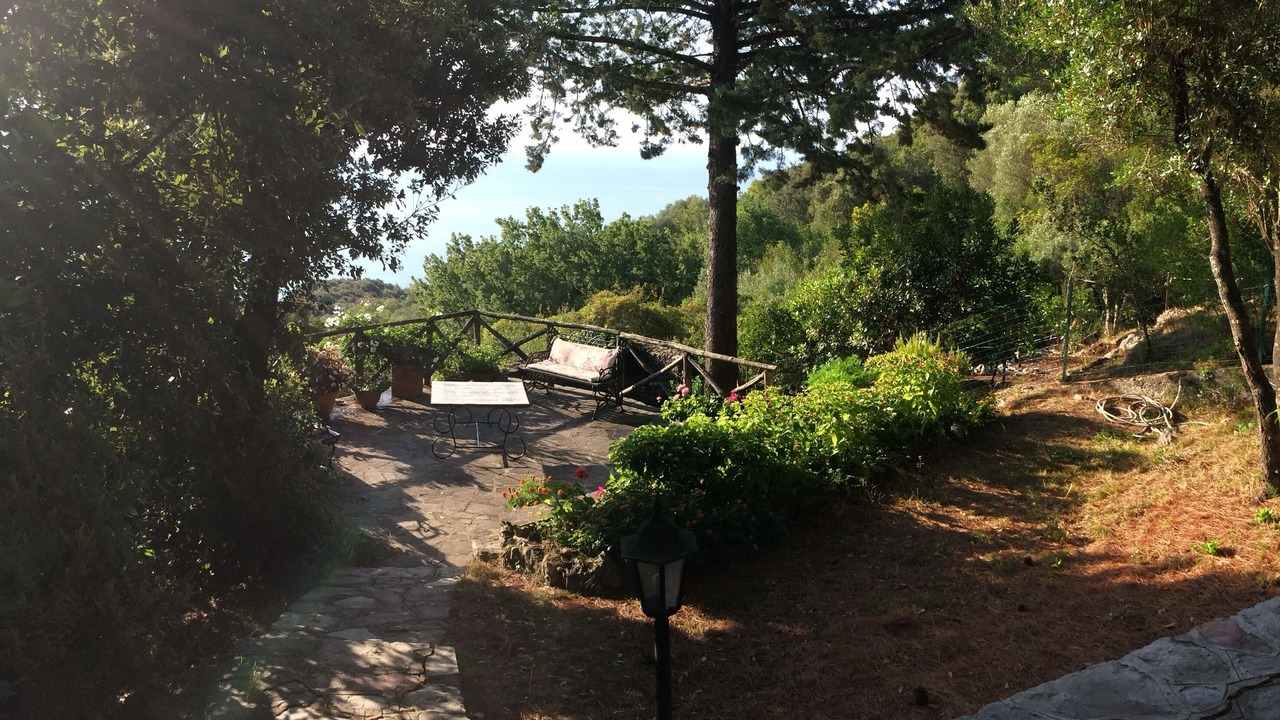 Photo of Outdoor in Scario