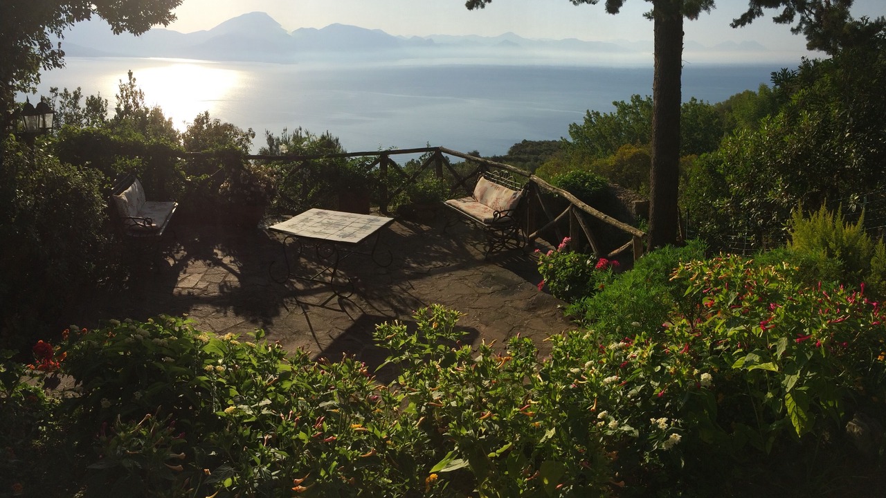 Photo of Others in Scario