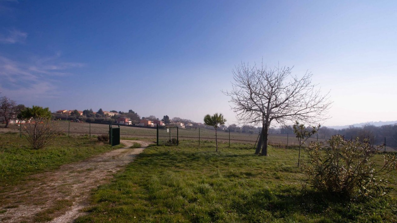 Photo of Others in Sirolo