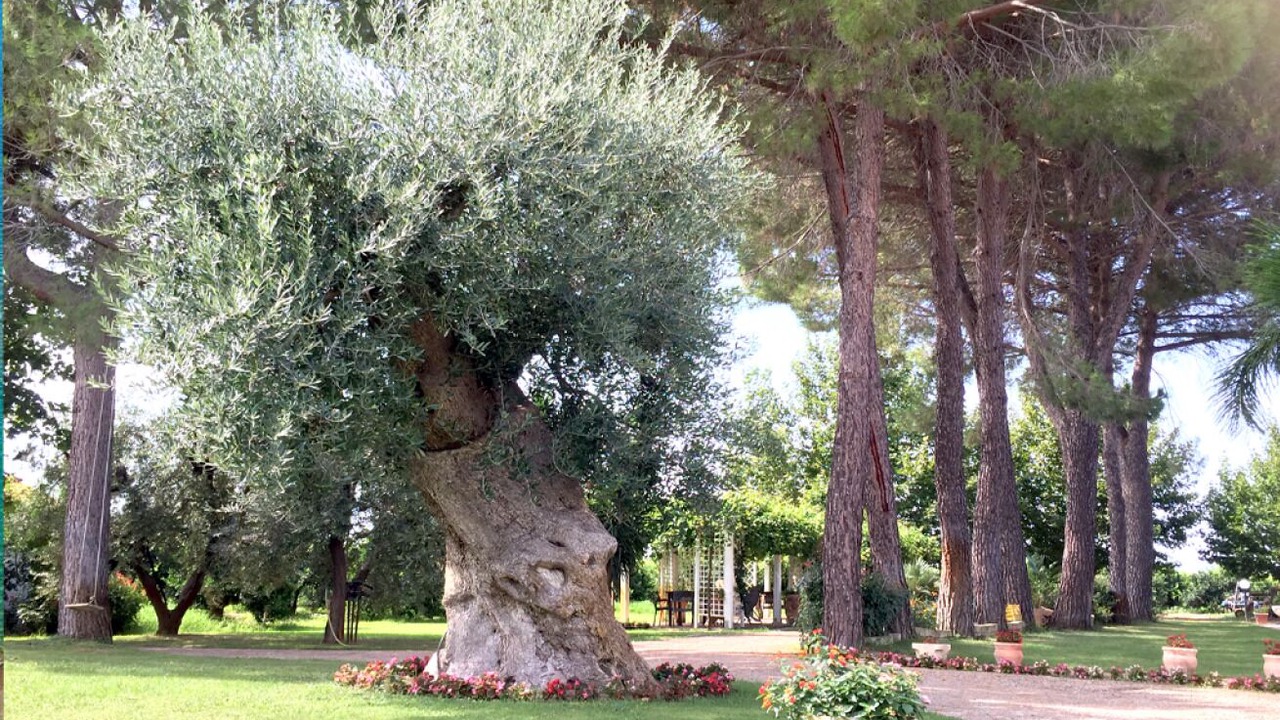 Photo of Outdoor in Ginosa