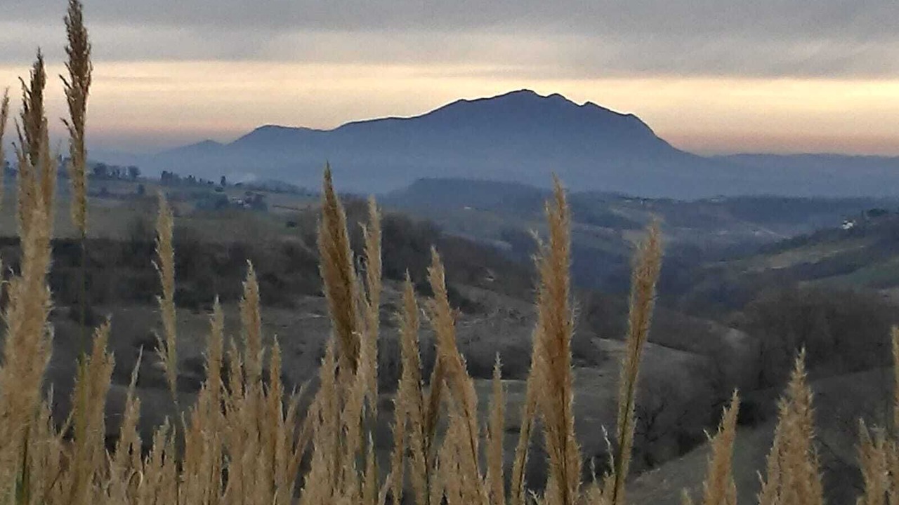 Photo of Others in Magliano Sabina
