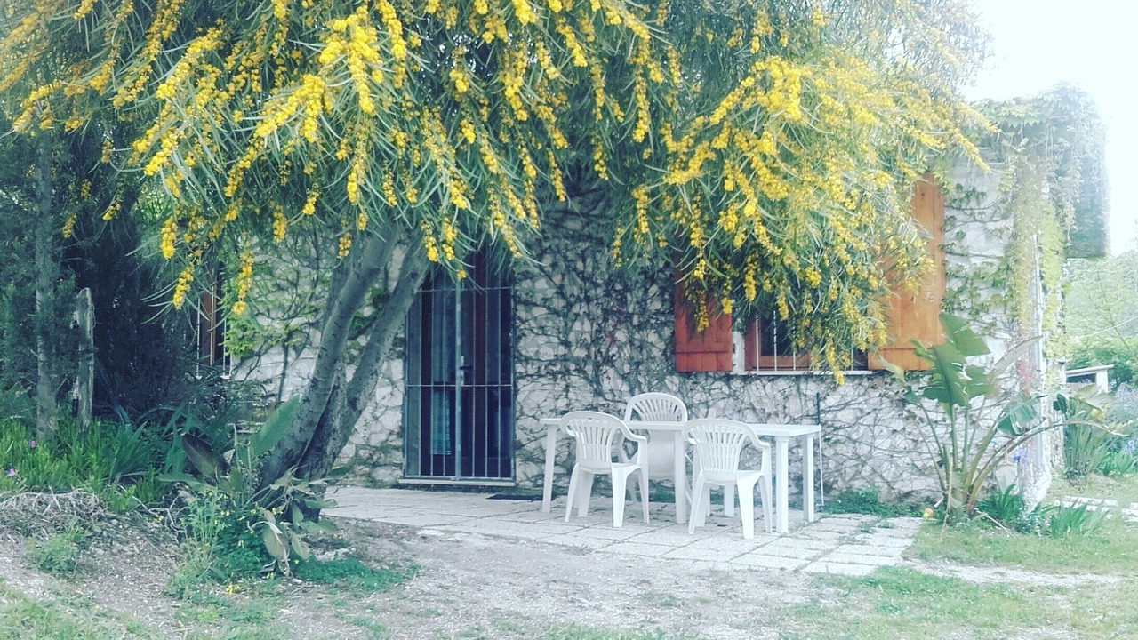 Photo of Outdoor in Vieste