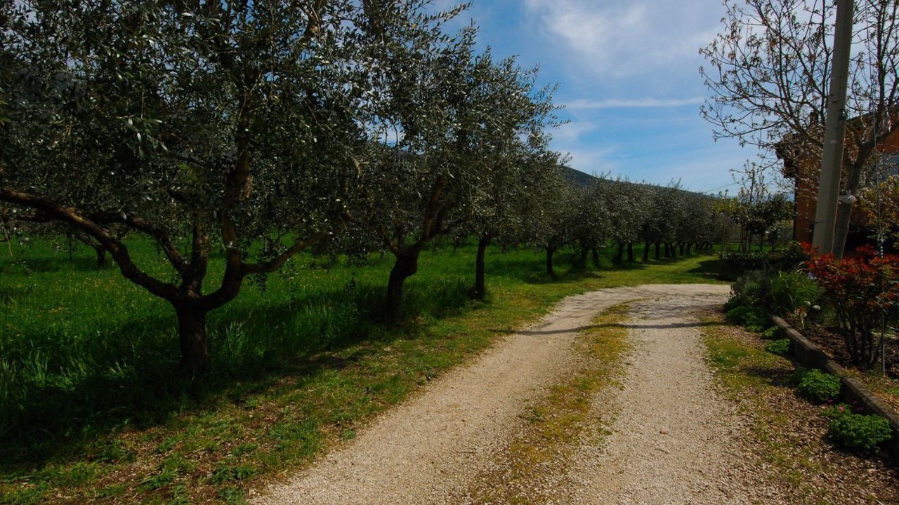 Photo of Others in Case Nuove
