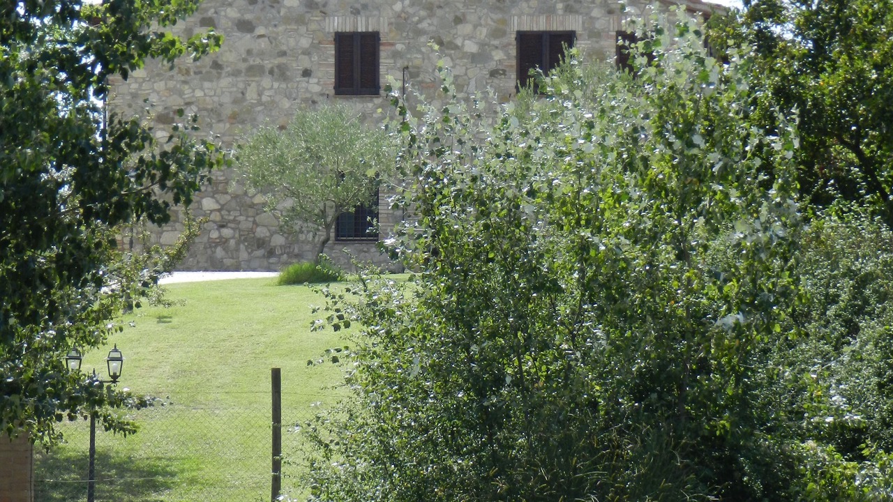 Photo of Outdoor in Loreto