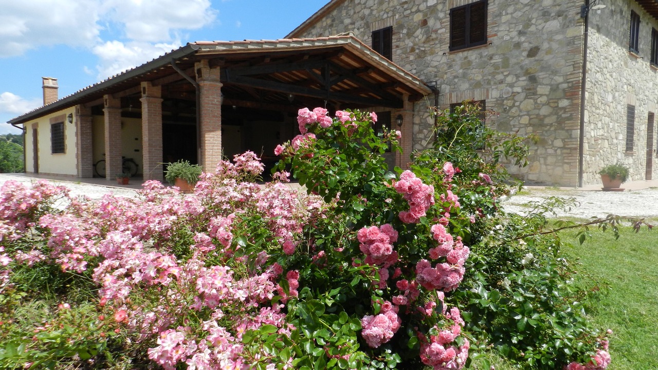 Photo of Outdoor in Loreto
