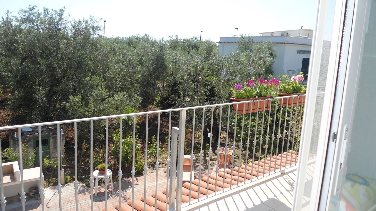 Photo of Outdoor in Scialara