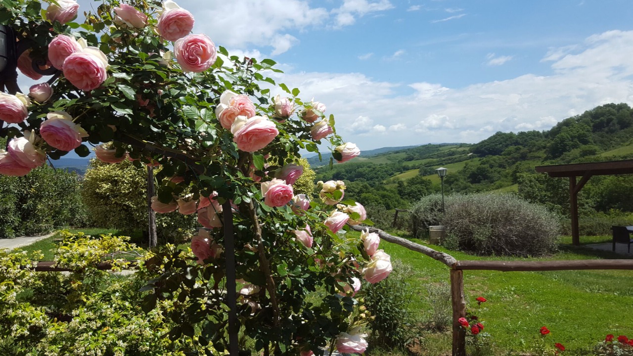 Photo of Outdoor in Pergine Valdarno