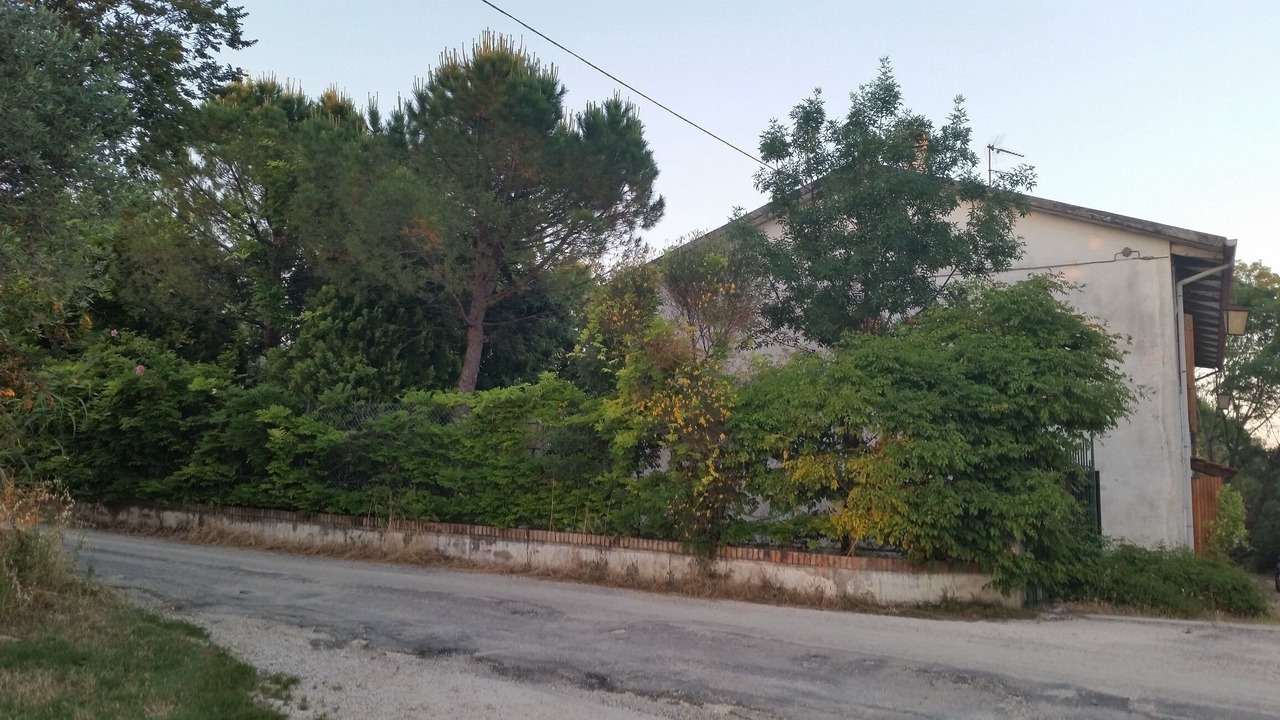 Photo of Outdoor in Montemarciano