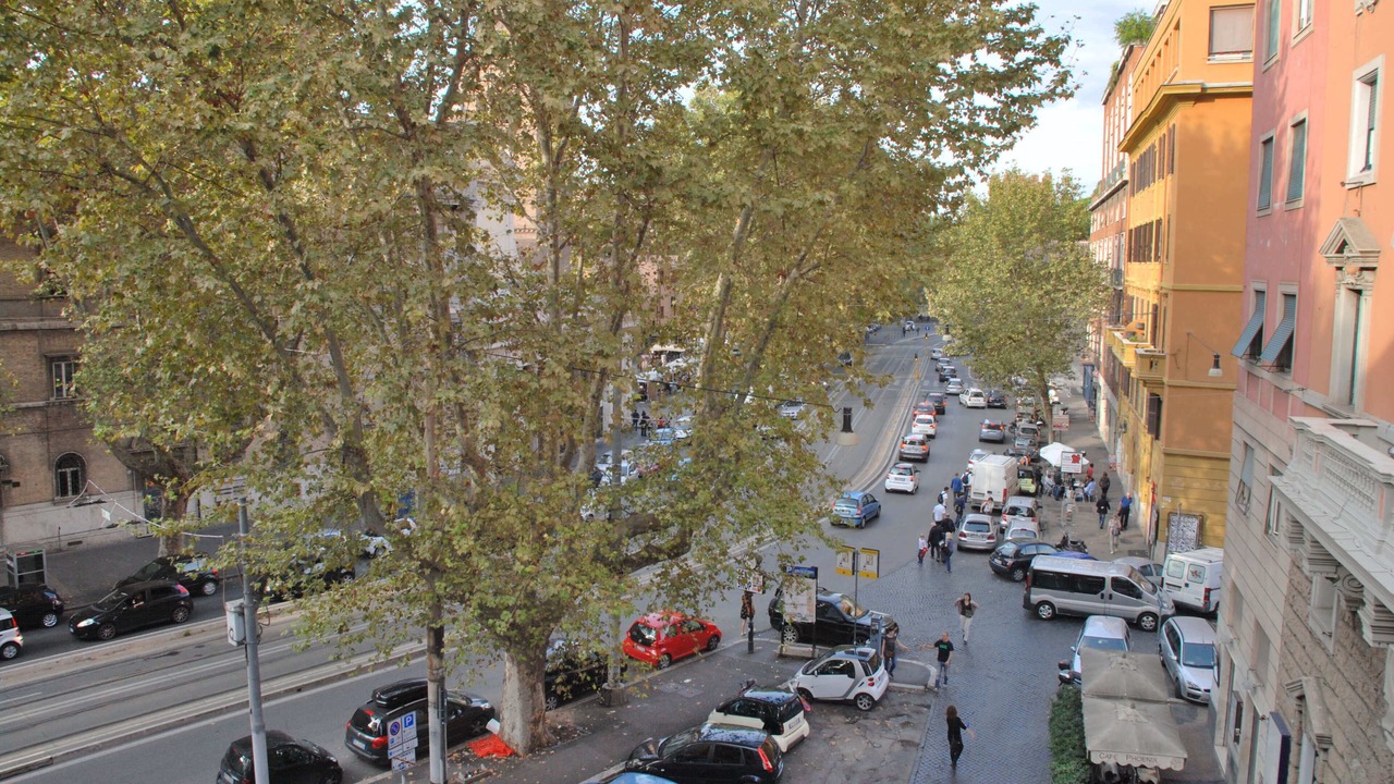 Photo of Others in Trastevere