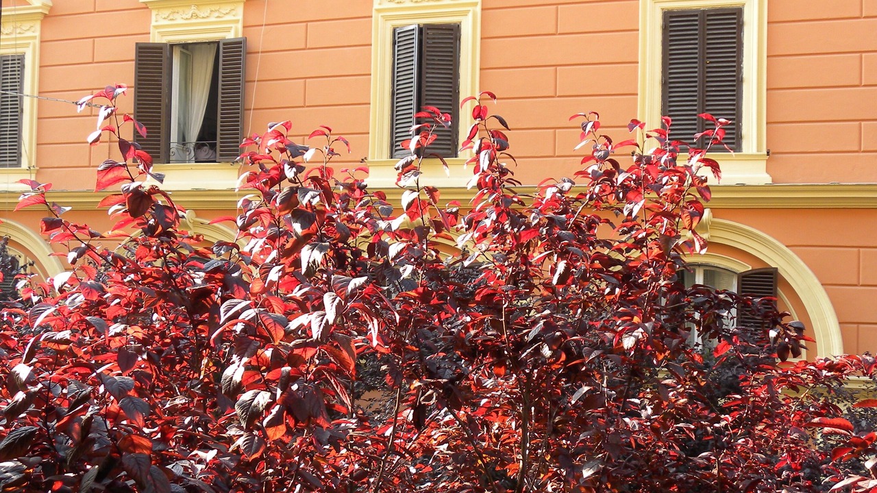 Photo of Others in Vatican