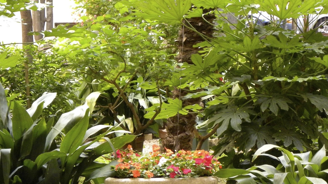 Photo of Outdoor in Vatican