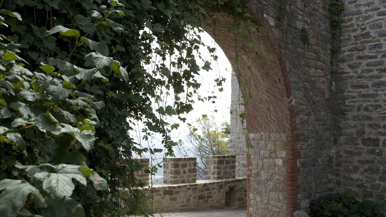 Photo of Outdoor in Montegiove