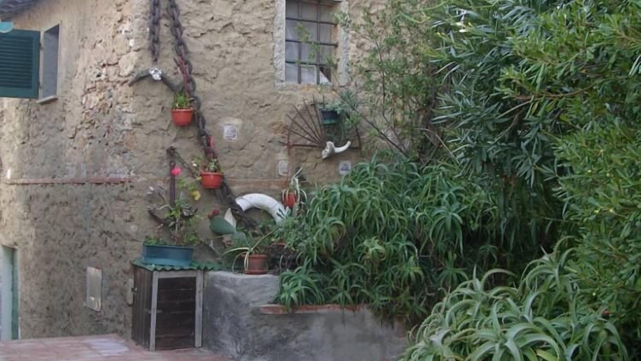 Photo of Outdoor in Giglio Campese