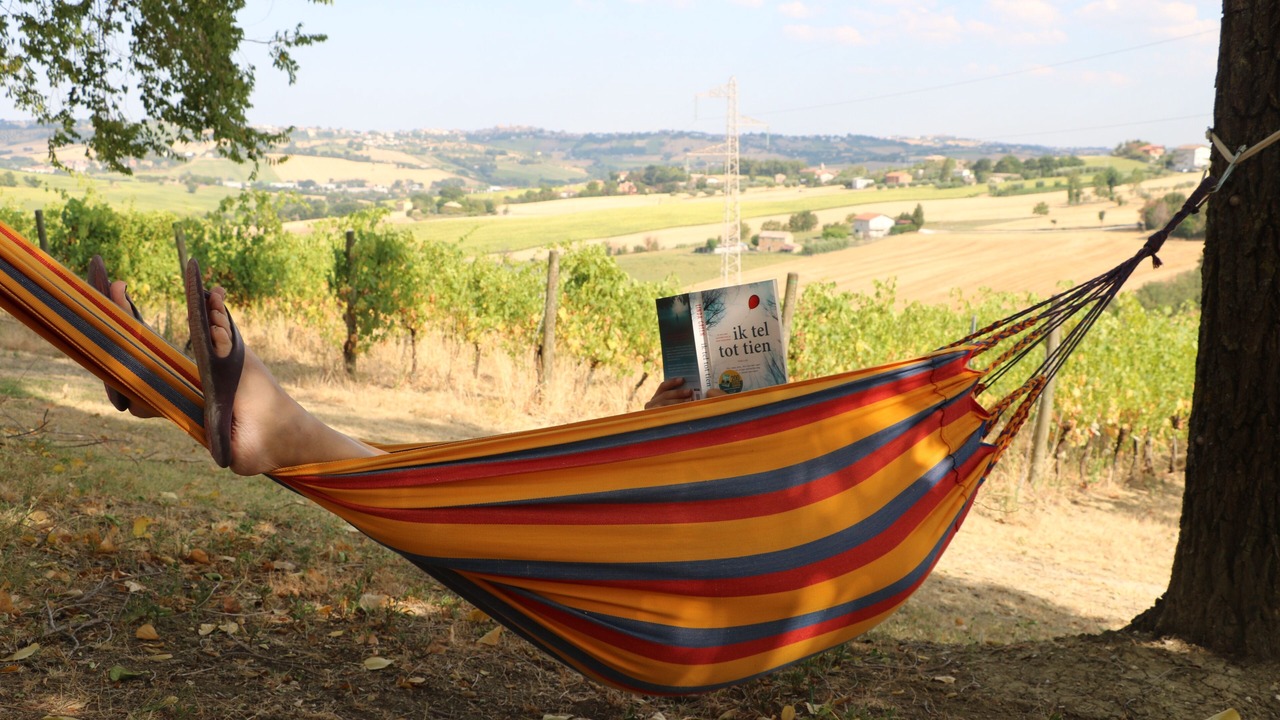 Photo of Outdoor in Ostra
