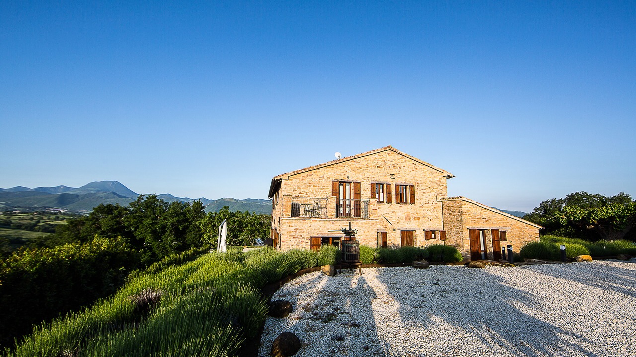 Photo of Outdoor in Apiro