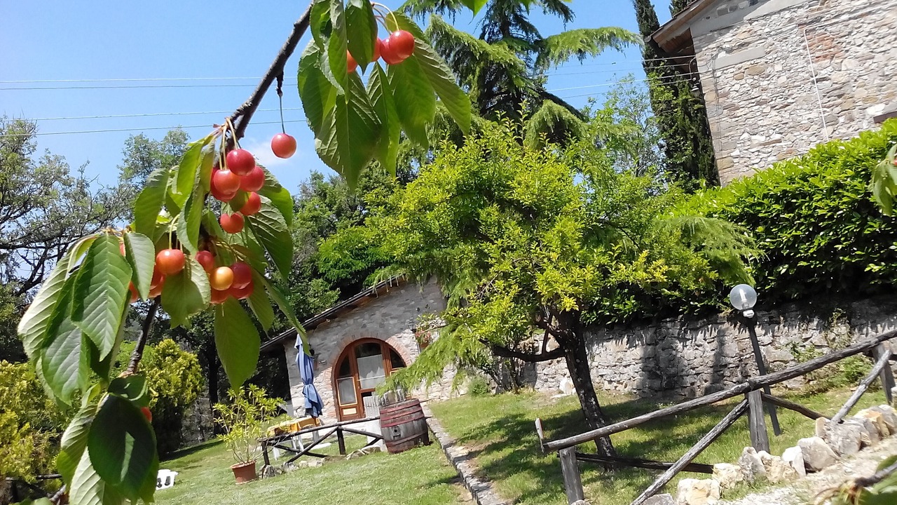 Photo of Outdoor in Sansepolcro