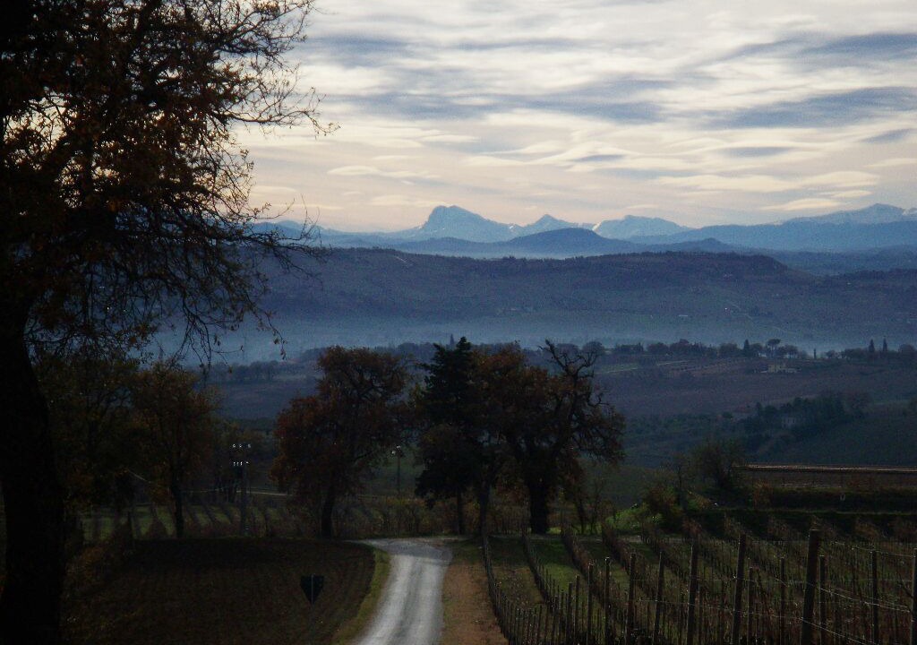 Photo of Others in Montecassiano