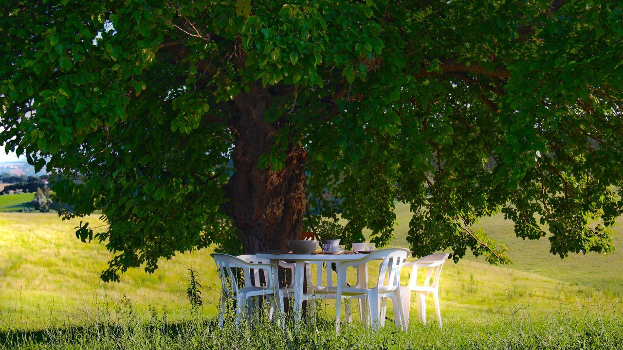 Photo of Outdoor in Montecassiano