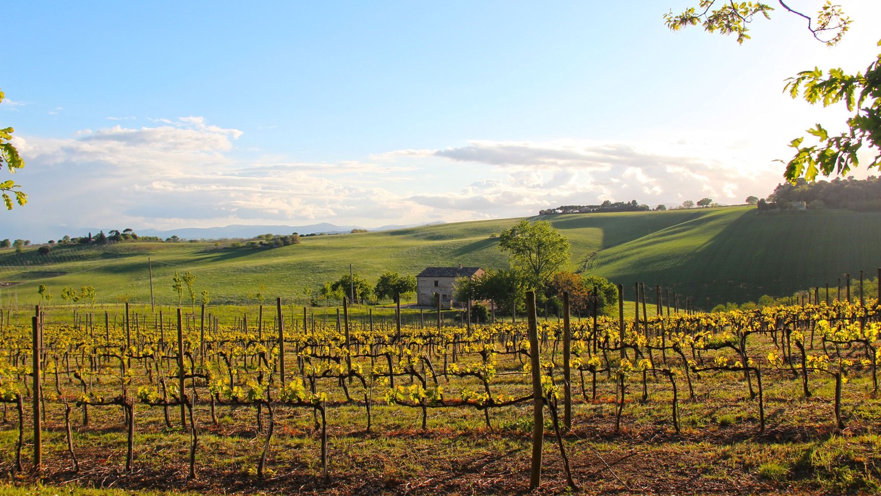Photo of Others in Montecassiano